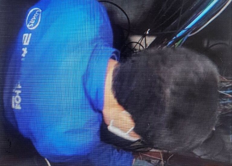 로하스방역